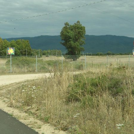 Апартаменти Tra Mare E Monti Санта-Джуста Екстер'єр фото
